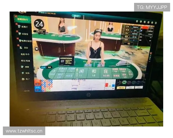 澳门视频百家乐高赔率技巧分享，提升盈利能力的实用策略指南